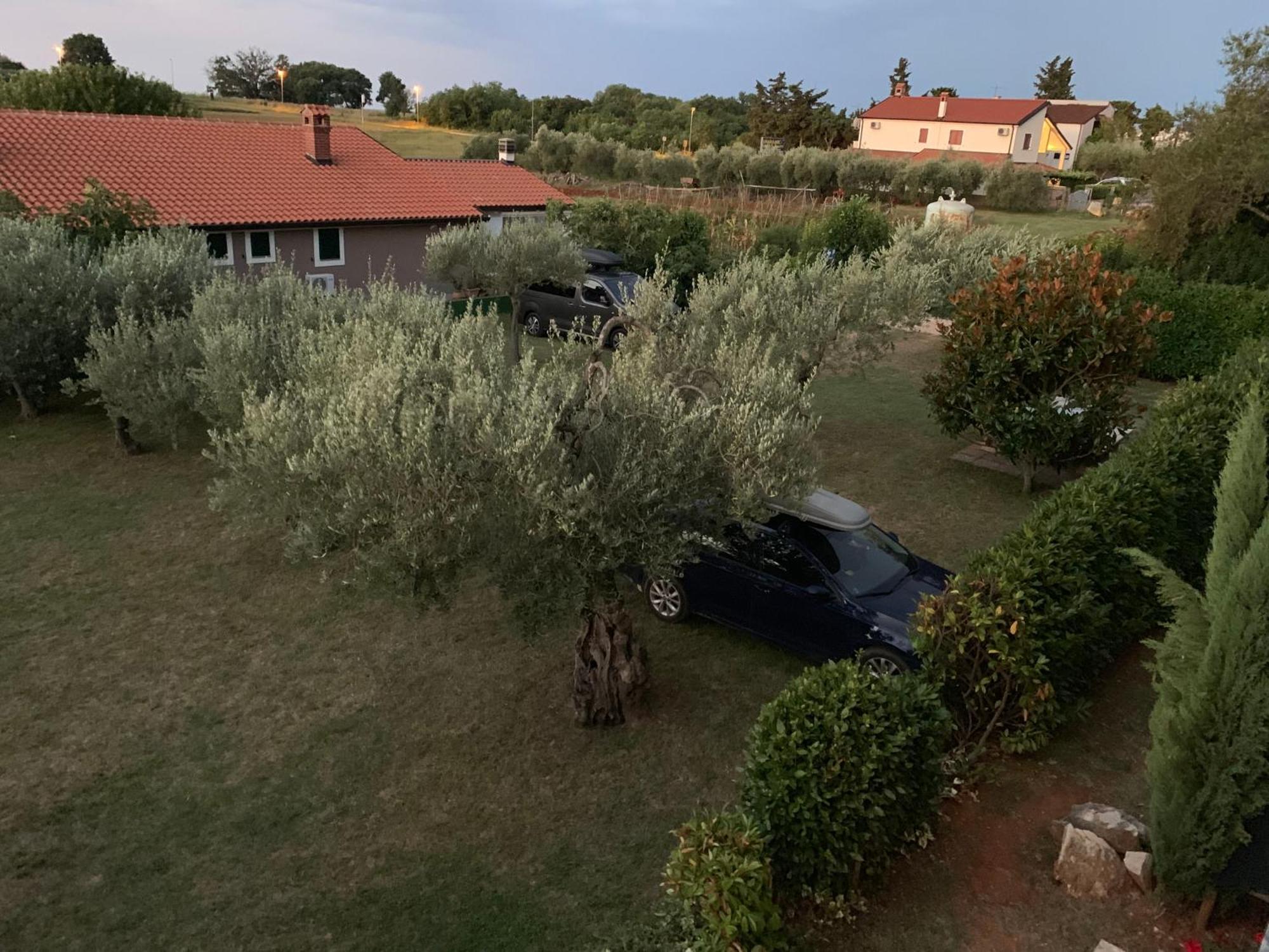 Ferienwohnung App Trinodis Bašanija Exterior foto